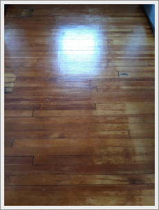 Unit #1 Hardwood Floor